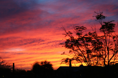 20051226- Gold Canyon, Arizona Sunset