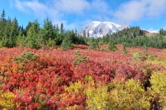 20240927- Mt Rainier